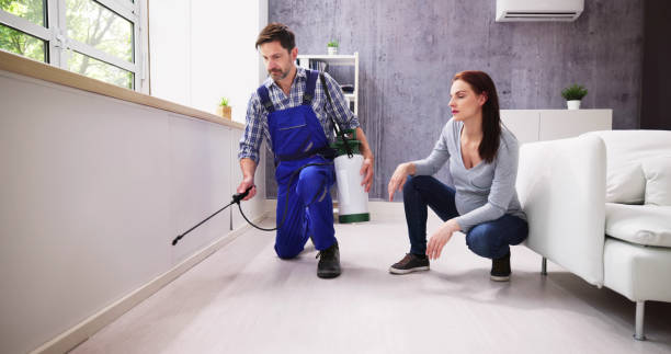 Best Pest Prevention Services  in Romoland, CA